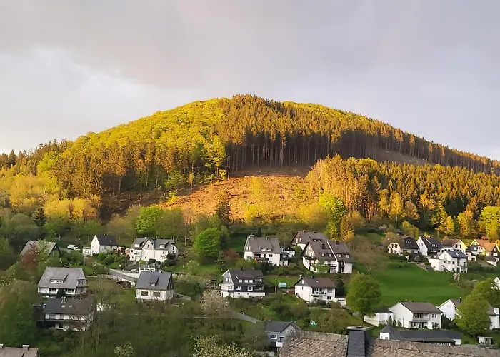 Panoramablick - 3 Апартаменты