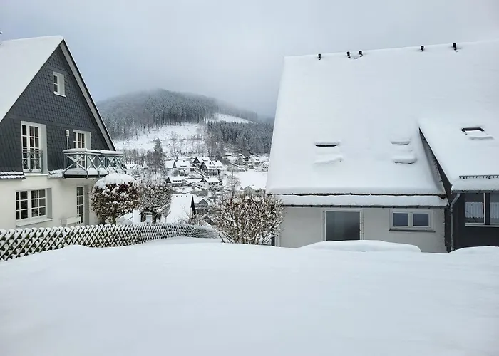 Panoramablick - 3 Апартаменты Винтерберг